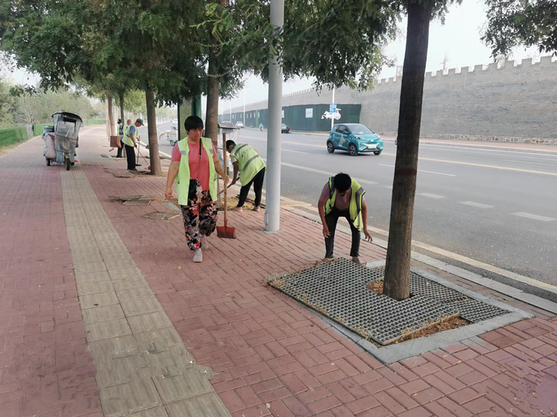 图片5_副本.png