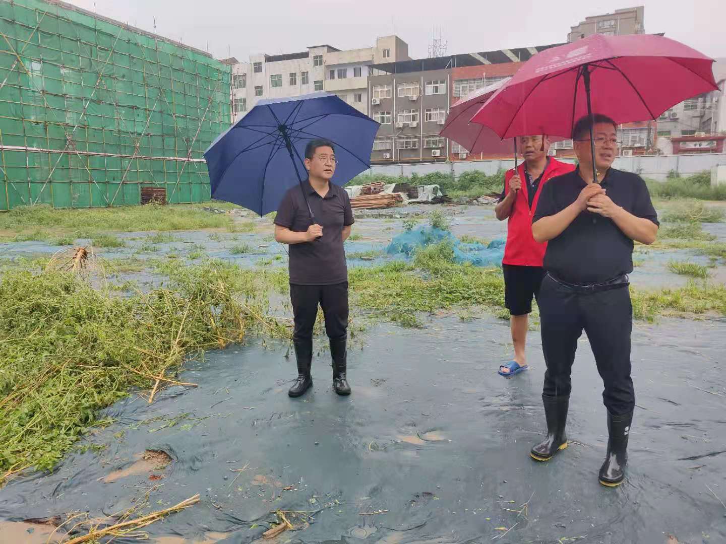 微信图片_20210730171352.jpg
